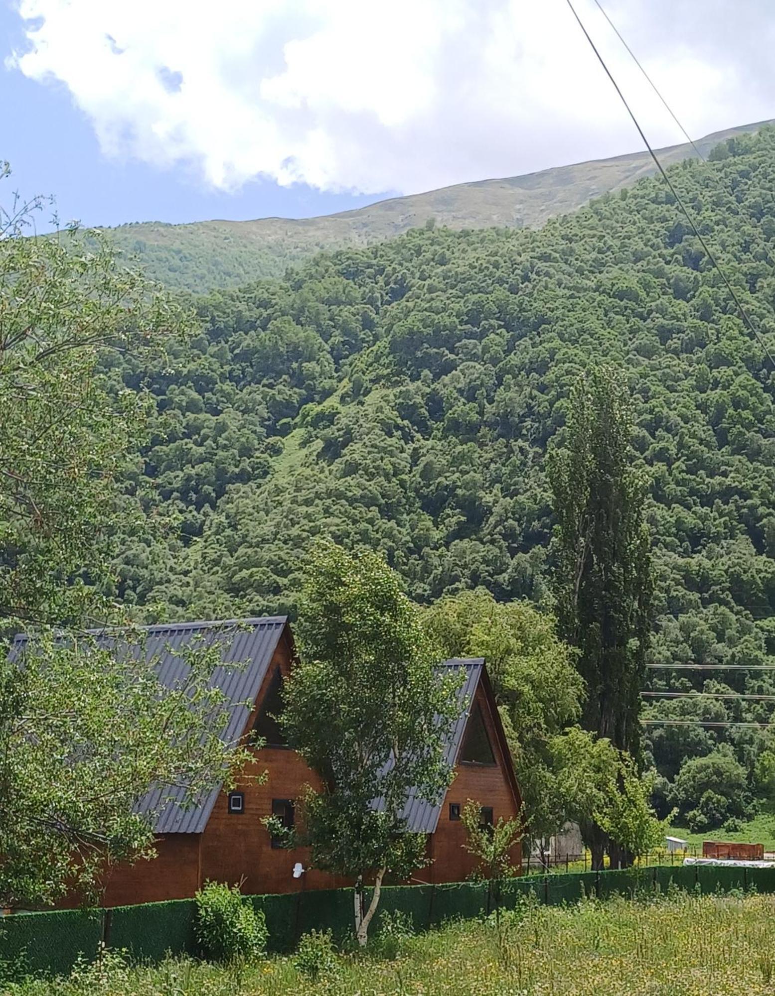Panorama Cottages In Sno Pokoj fotografie